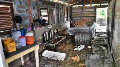 Photo of Riadas provocan graves daños en zonas Las Matas de Farfán