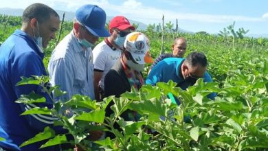 Photo of Agricultura destaca labor del CEDAF en la capacitación de su personal técnico en el 2021
