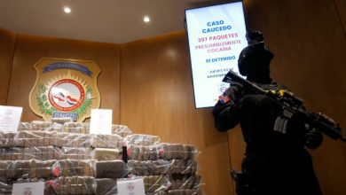 Photo of DNCD frustra envío de casi 400 paquetes de presunta cocaína a Belgica