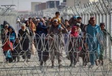 Photo of ONU: Más de 59,000 afganos regresan a su país ante el ultimátum de deportación en Pakistán