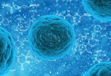 Photo of La ciencia se acerca a la posibilidad de rejuvenecer el sistema inmunitario