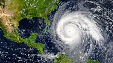 Photo of La temporada de huracanes de 2024 en el Caribe puede ser peor que la de 2023, alerta OMM