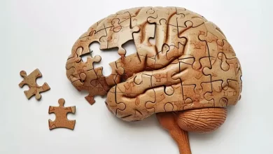 Photo of A qué edad empieza la pérdida de memoria y cómo estimular la mente para prevenirla